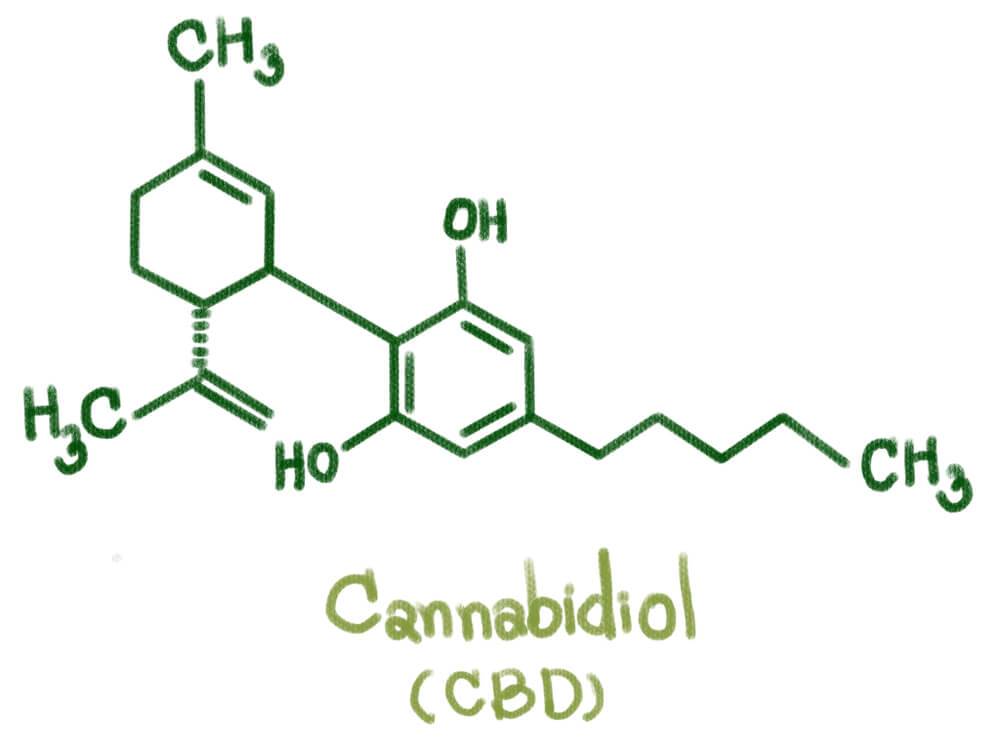 cbd cannabinoid