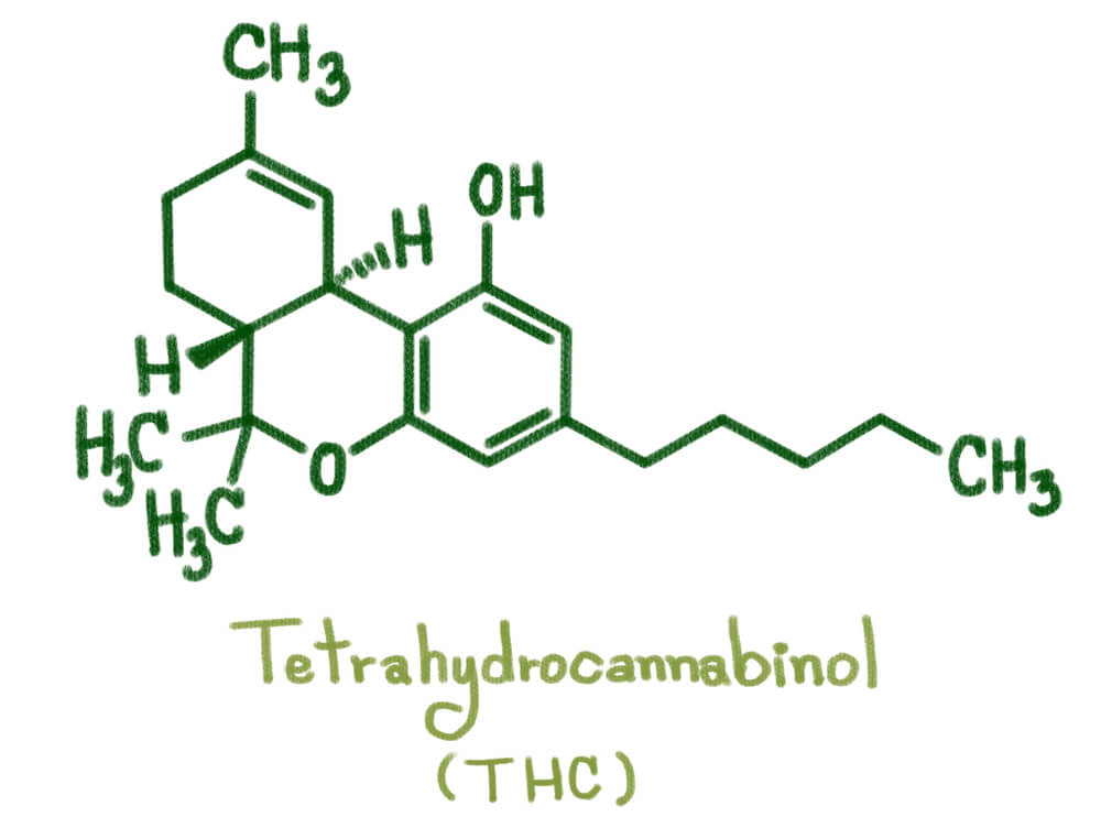 thc cannabinoid