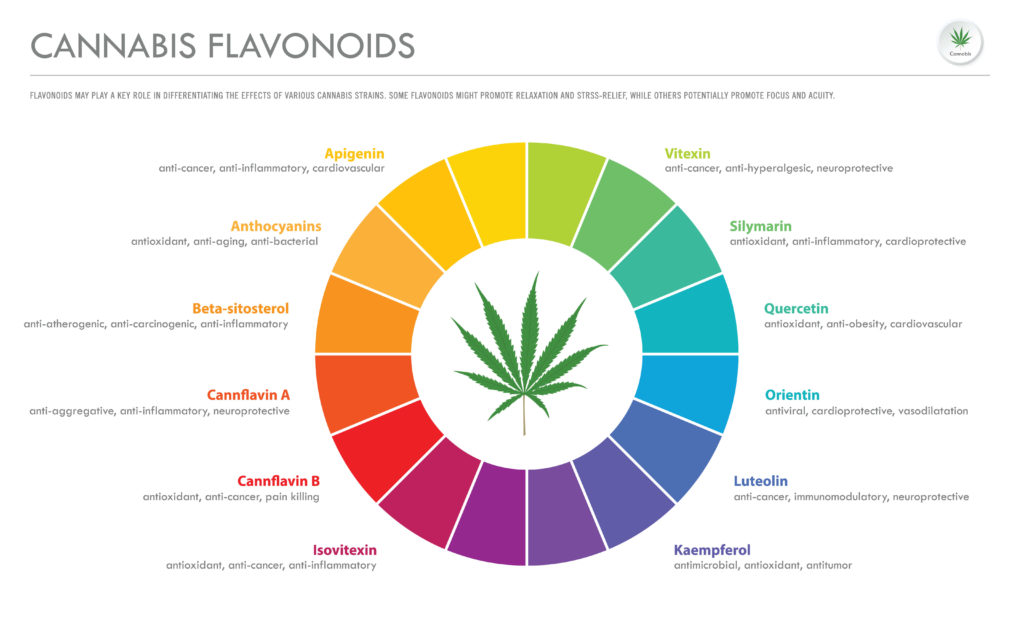 Flavonoids