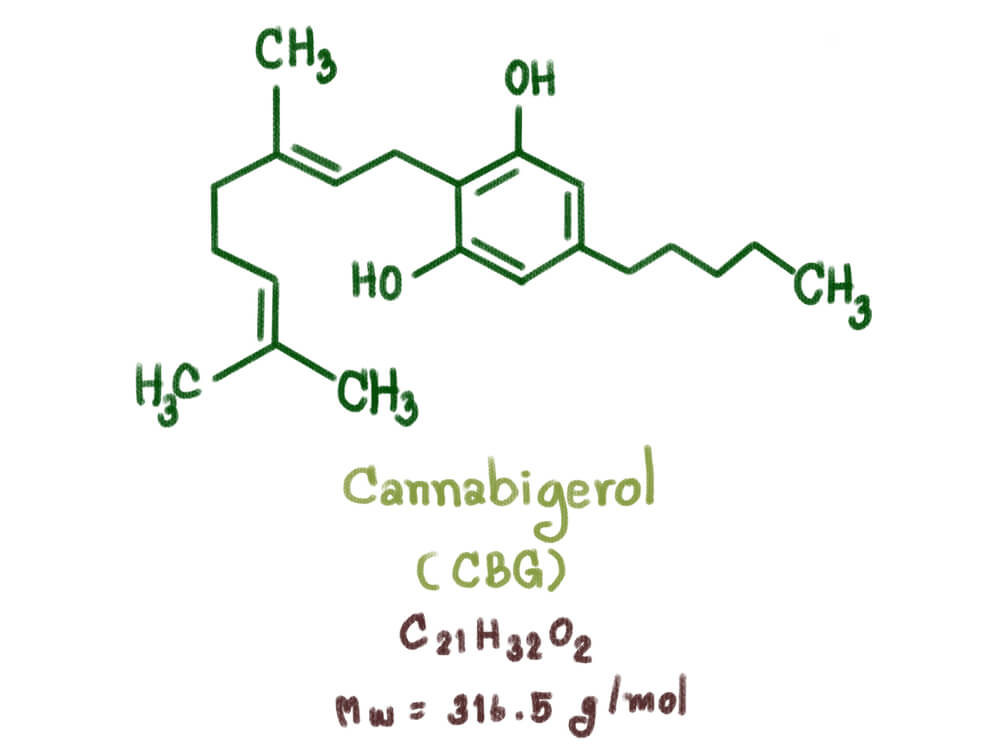 cbg cannabinoid