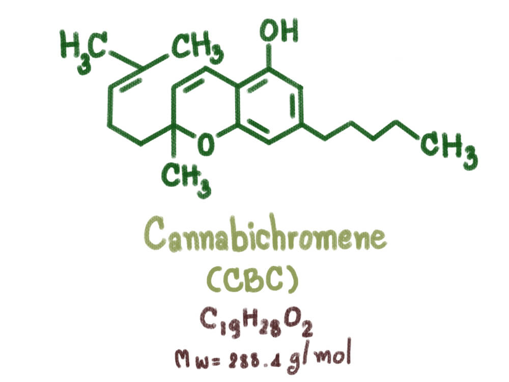 cbc cannabinoid