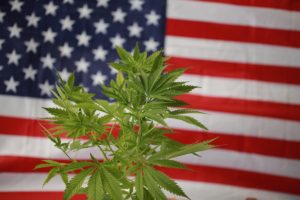 Time to end cannabis prohibition