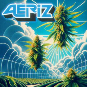 Aeroponics by Aeriz