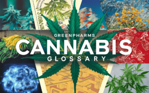 cannabis glossary