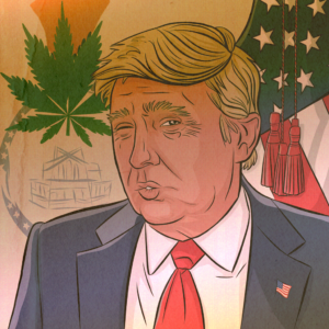 trump florida amendment 3 marijuana legalization cannabis rescheduling