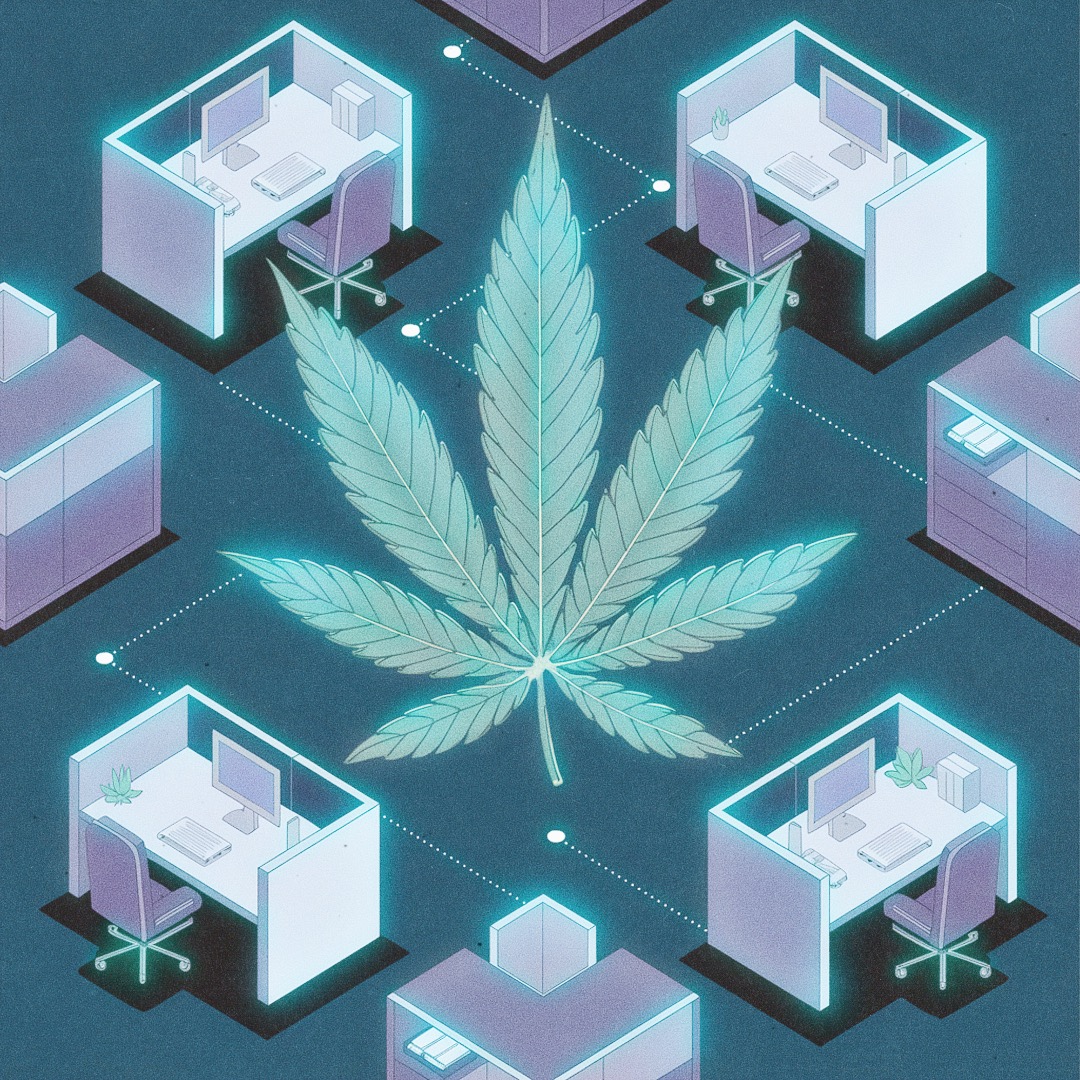 navigating cannabis in the workplace 2025