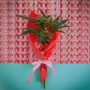 valentine's day say it with cannabis bouquet