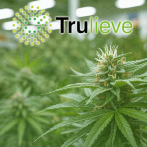 Blog Home 4 trulieve labor rights union
