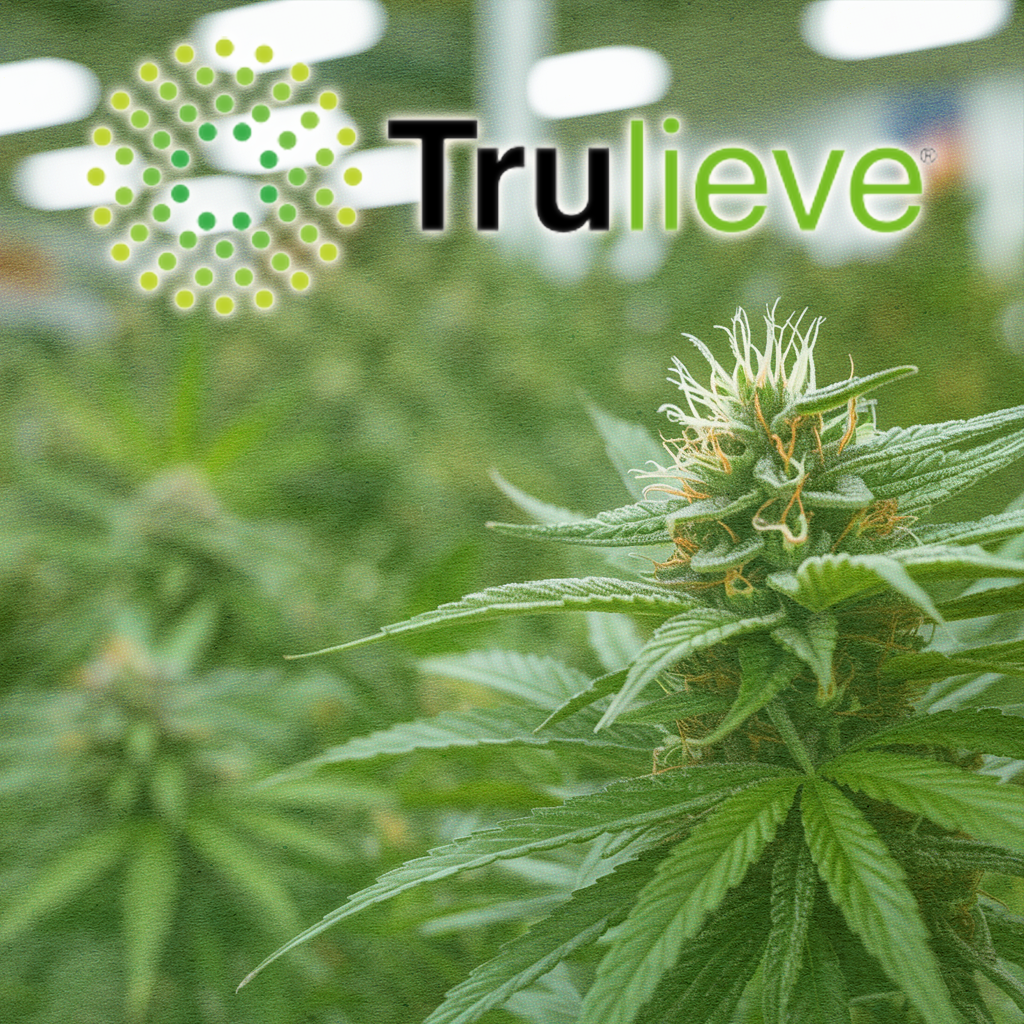 Historic Union Contract at Trulieve Redefines Cannabis Labor Rights in Arizona 1
